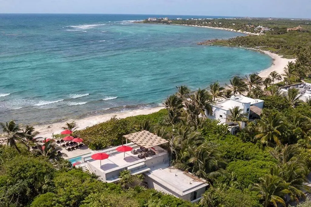 Beach Oasis Jungle Garden Private Beach Club Apartment Akumal Mexico